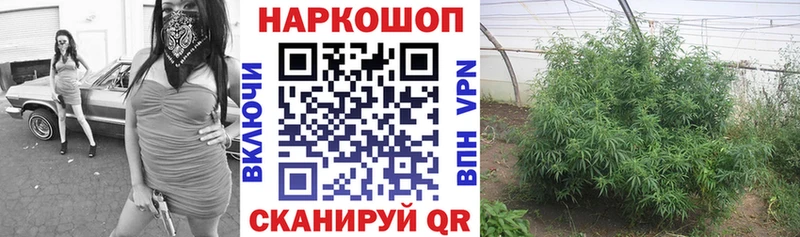 Купить МДМА  Alpha PVP  Каннабис  Меф мяу мяу  КОКАИН  Вилюйск