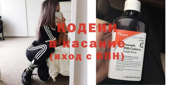 индика Корсаков