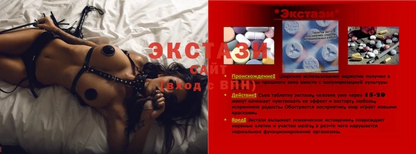 индика Корсаков