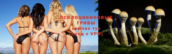 герыч Кодинск