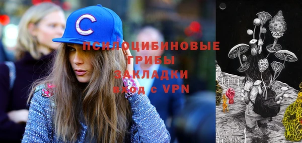 индика Корсаков