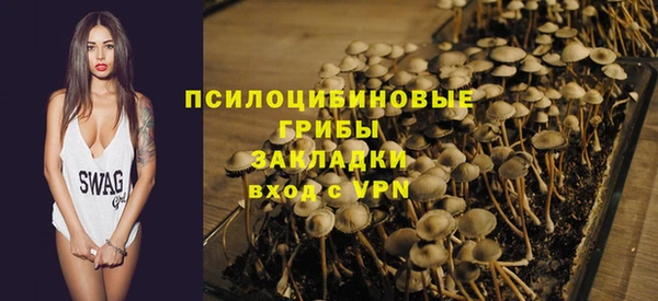 mdpv Коряжма
