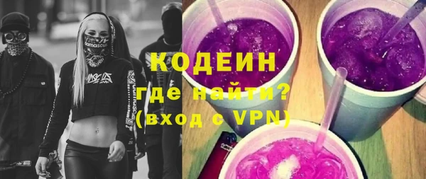 индика Корсаков