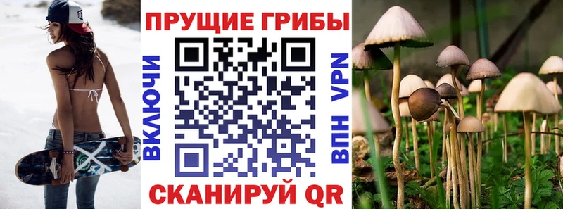 Купить где  Вилюйск  Галлюциногенные грибы прущие грибы 